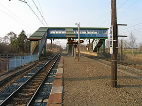 ホーム